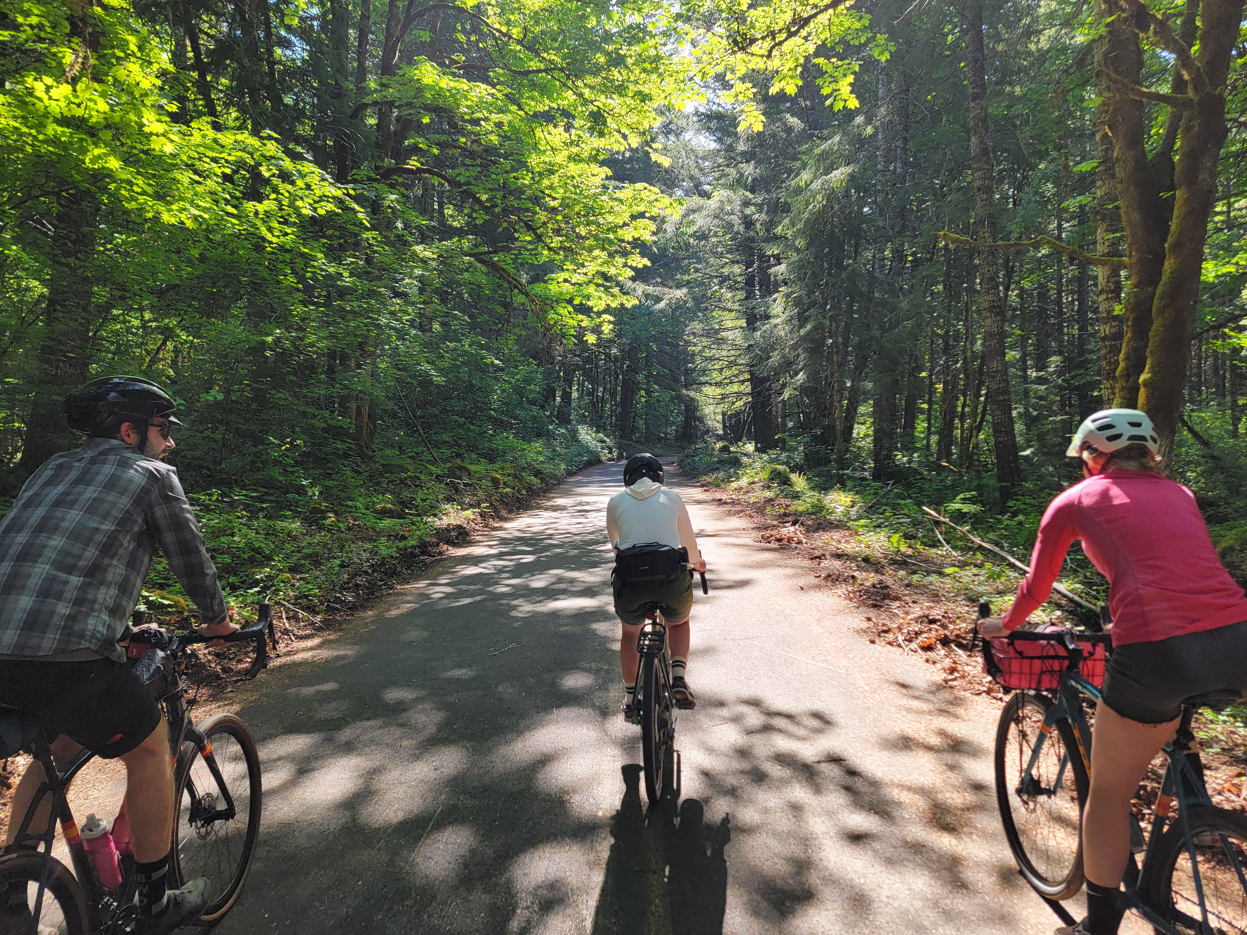 A picture taken from behind of 3 ciclist biking up the McKenzie Pass, surrounded by green, lush trees